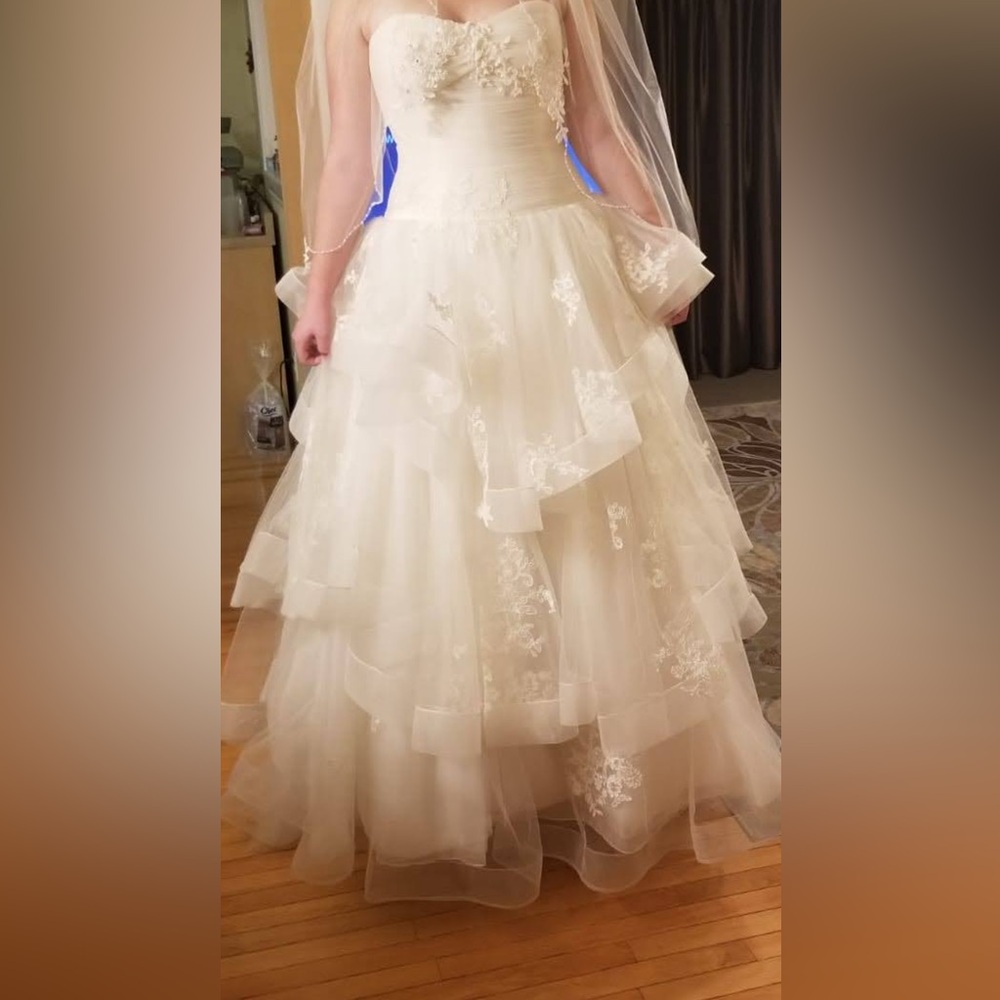 Vera Wang Ivory Wedding Dress - Picture 2 of 4